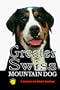 Greater Swiss Mountain Dog: A Complete and Reliable Handbook (Rare Breed)