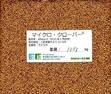 【種子】園芸用マイクロクローバー　100g　環緑株式会社