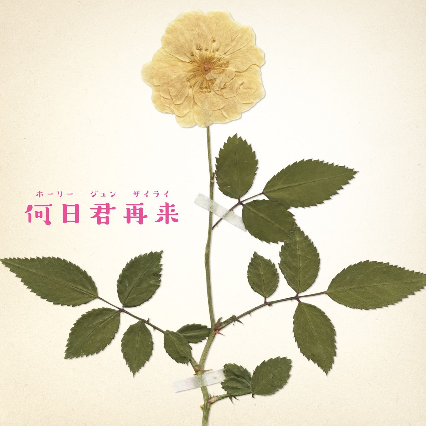 何日君再来 (ホーリージュンザイライ) 高畑充希