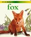 Fox (Johnson, Jinny. Wild Baby Animals.)