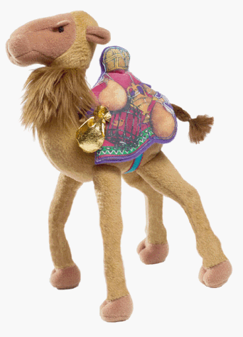 Camels