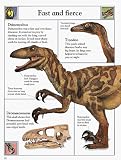 The Big Book of Dinosaurs
