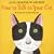 How to Talk to Your Cat
