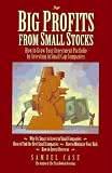 Big Profits from Small Stocks: How to Grow Your Investment Portfolio by Investing in Small Cap Companies