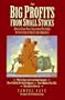 Big Profits from Small Stocks: How to Grow Your Investment Portfolio by Investing in Small Cap Companies