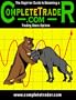 The Beginners Guide to Becoming a CompleteTrader - Trading Stock Options