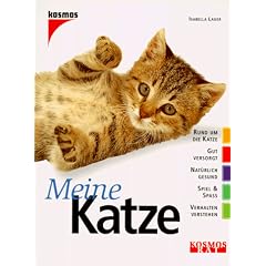 Meine Katze