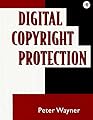 Digital Copyright Protection: Techniques to Ward Off Electronic Copyright Abuse