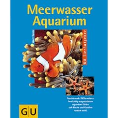Meerwasser-Aquarium