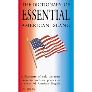 The Dictionary of Essential American Slang  - Peter Tse 