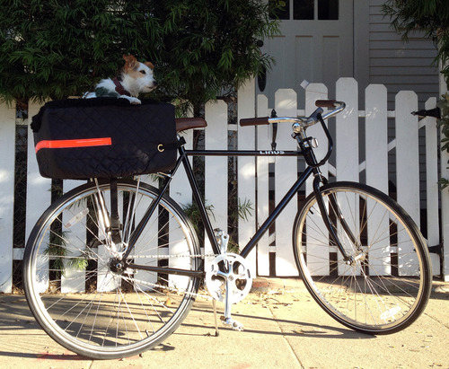 snoozer pet rider rear bicycle seat black