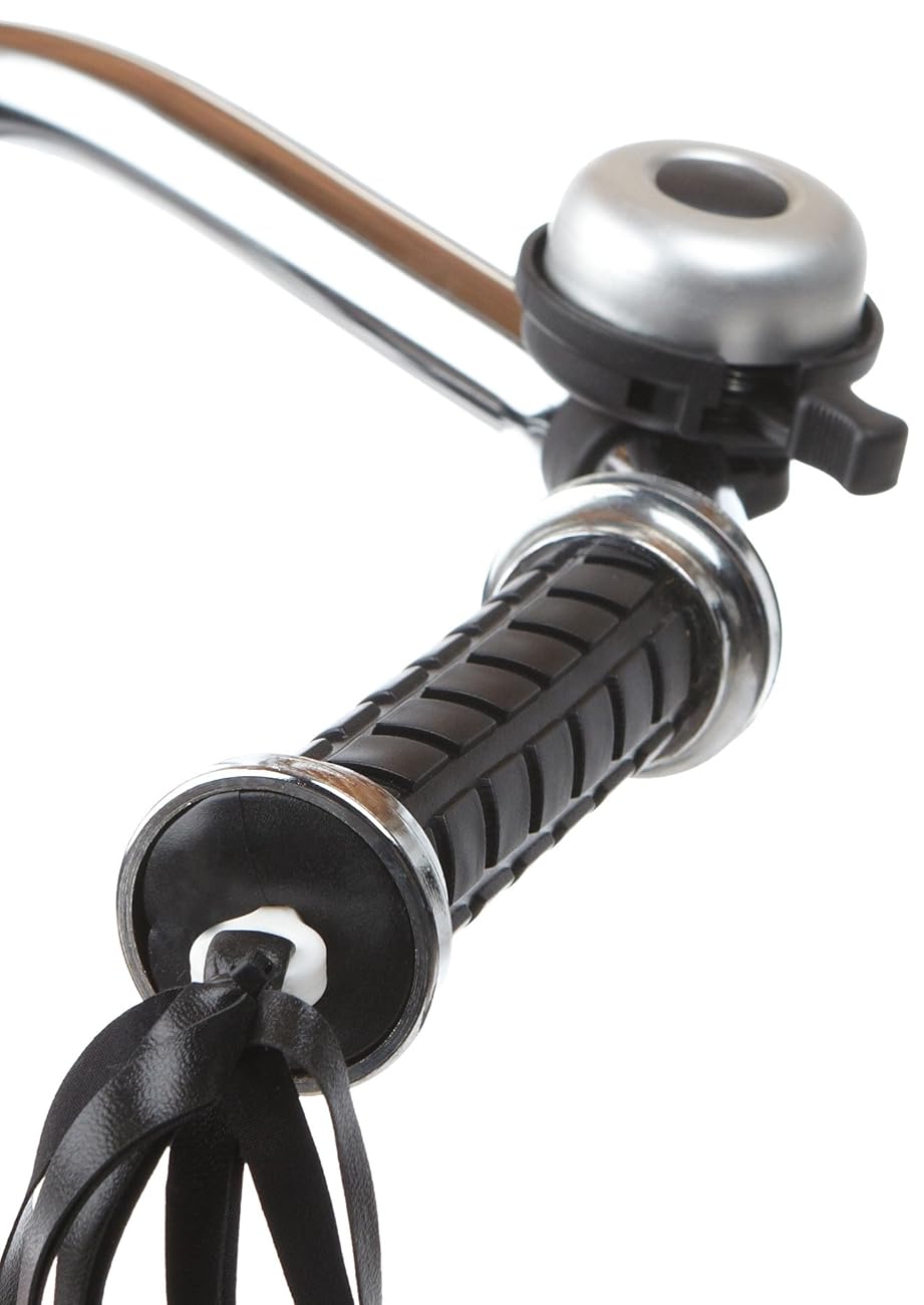 12 inch schwinn roadster trike