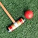 Halex Select 6 Player Croquet Set in Deluxe Carry Case