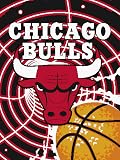 Chicago Bulls NBA Licensed Vortex Series 60 x 80 Throw Blanket