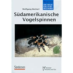 S�damerikanische Vogelspinnen