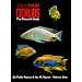 Cichlids: The Pictorial Guide Volume 1 (English, German and Chinese Edition)