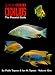 Cichlids: The Pictorial Guide Volume 1