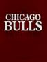 The Chicago Bulls Encyclopedia