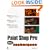 Paint Shop Pro Web Techniques