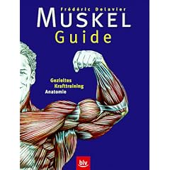 Muskel-Guide: Gezieltes Krafttraining, Anatomie