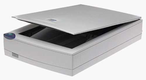 Epson Perfection 1200U USB Flatbed Scanner