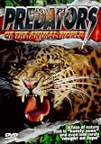 Predators Of The Animal World