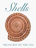 Shells