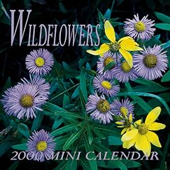 Wildflowers 2000 Mini Calendar