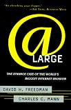 At Large: The Strange Case of the World`s Biggest Internet Invasion