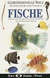 Eigenschaften Euro Video  / Geheimnisvolle Welt: Fische