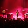 Image of Animal Collective