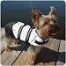Paws Aboard Designer Dogg Life Jacket XS Louie 7-15 LB