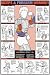 Co-ed Biceps & Forearm Workout 24 X 36 Laminated Chart