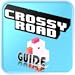 Guide for Crossy Road