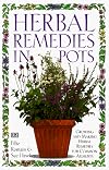 Herbal Remedies in Pots