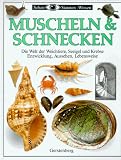  Sehen, Staunen,...