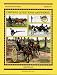 Driving Questions Answered (for Horsedrawn Vehicles) (Threshold Picture Guide)