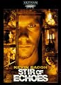 Stir of Echoes