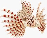 Review QUAY  / Lion Fish - 4D Puzzle