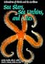 Sea Stars, Sea Urchins, and Allies: Echinoderms of Florida and the Caribbean