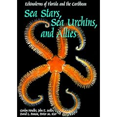 Sea Stars, Sea Urchins and Allies: Echinoderms of Florida and the Caribbean