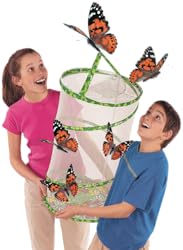 Butterfly Garden