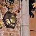 Castor 533 Copper Garden Wall Light
