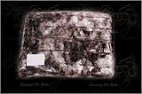 Tiger Dreamz Luxury Bed - 24x19 - Black Forest Cake
