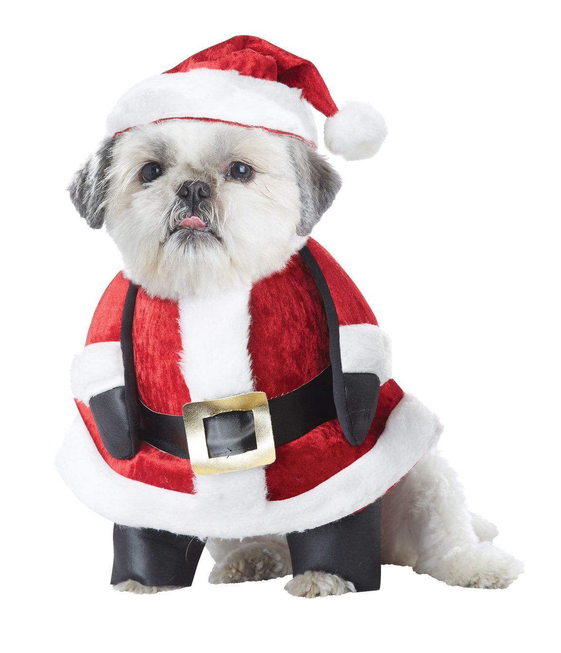 Dog Santa Costume