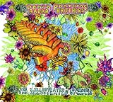 The Illustrated Garden