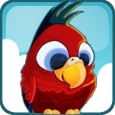 Socialin LLC Bird Land Gam