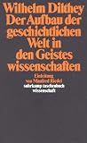 Der Aufbau der geschichtlichen Welt in den Geisteswissenschaften (suhrkamp taschenbuch wissenschaft)