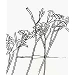Alex Katz & Robert Creeley: Edges book cover