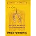 Underground: The Tokyo Gas Attack and the Japanese Psyche